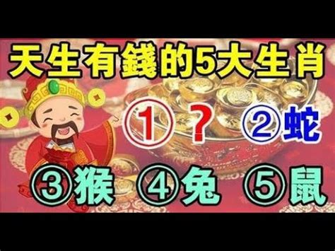 生肖座向|十二生肖宅運大公開